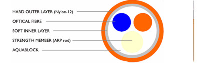 NTF