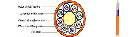 NTF
