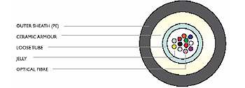 NTF