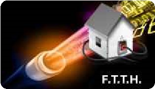 NTF